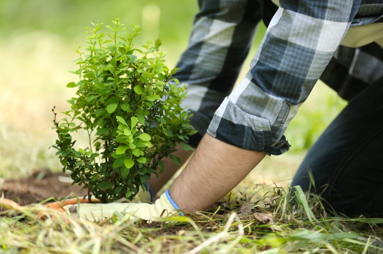 Must-Do’s for a Successful Landscape Season!