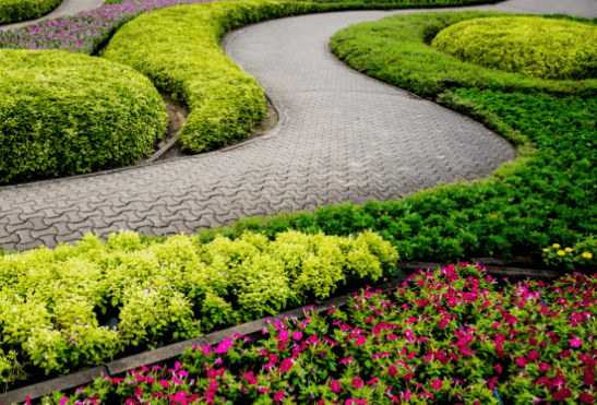 Are you a wholesale plant nursery? Learn how Gomaterials can help with your business.