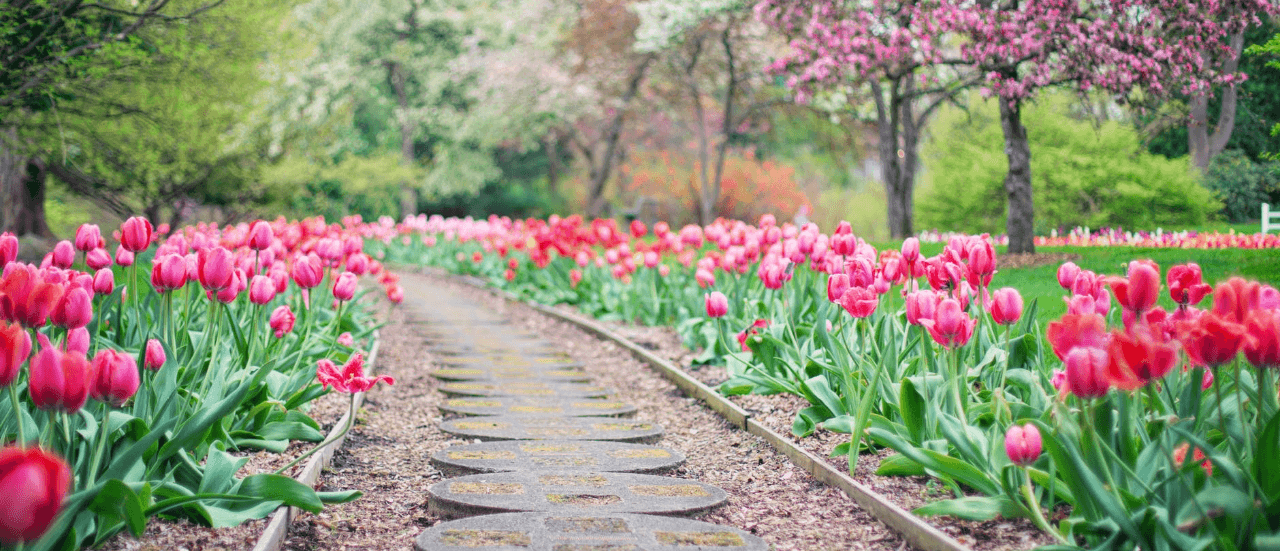 Learn how Gomaterials provide landscape materials for your business.
