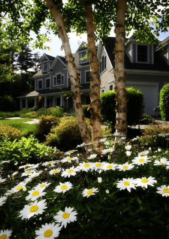 Find out how Gomaterials sources a landscape materials list for your business.