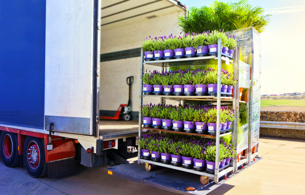 Plant Delivery or Pickup: What\u2019s More Cost Efficient?