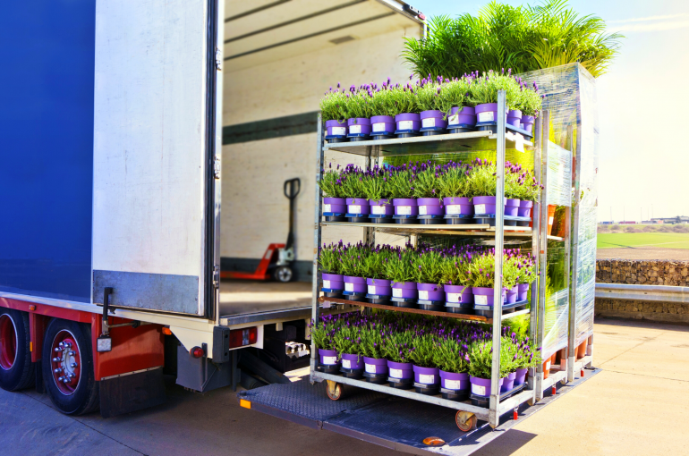 Plant Delivery or Pickup: What’s More Cost Efficient?