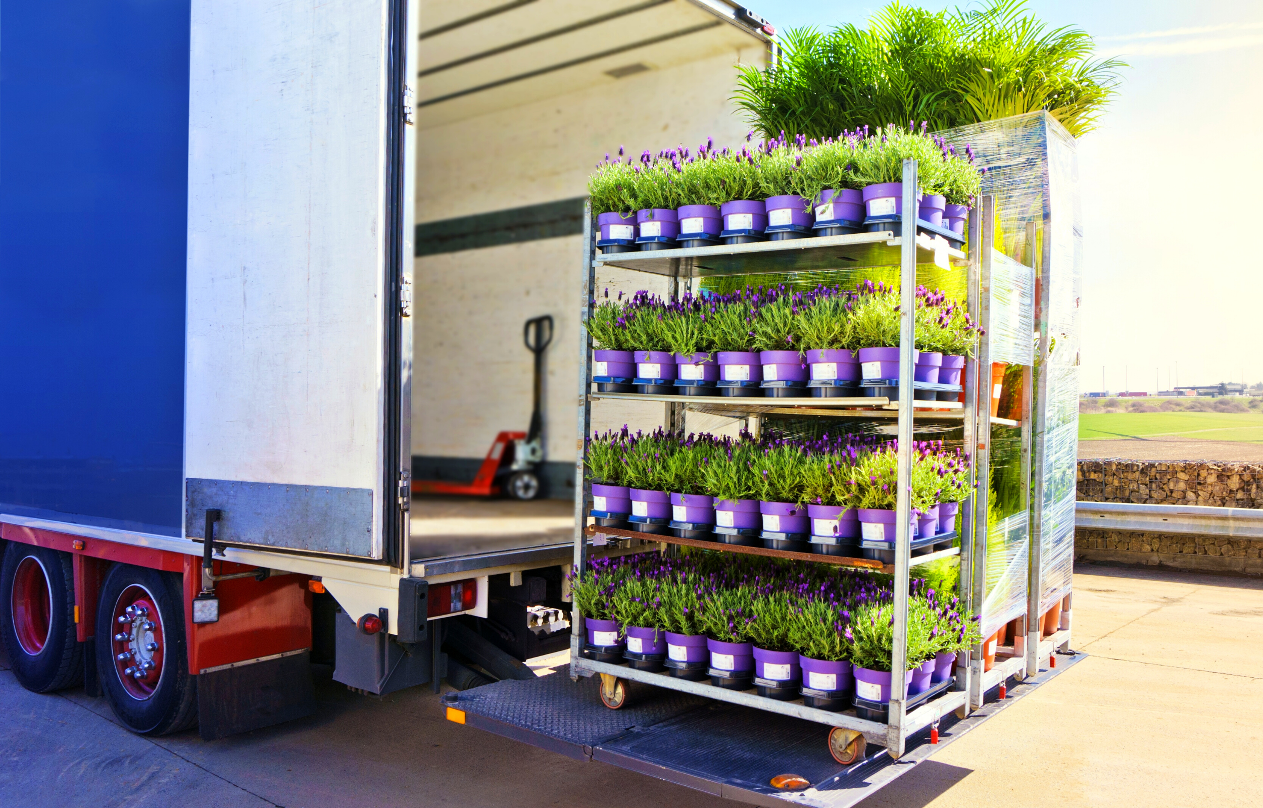 Truck being loaded with plants