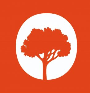 Ginkgo Tree Landscaping